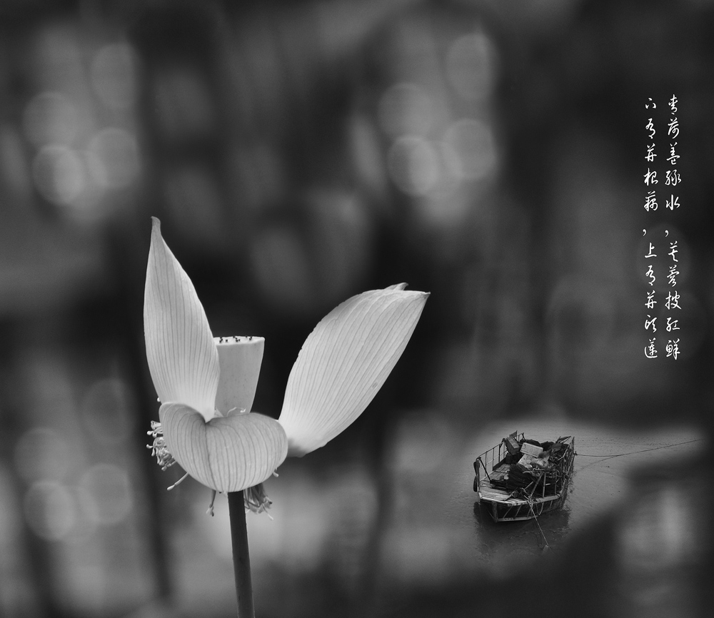 光影在线